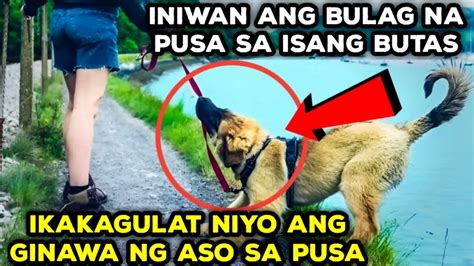 Ginawang Aso sa Sogo .